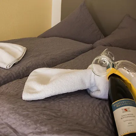Meersburg Hotel 2*